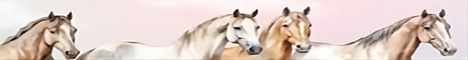 Equestrifun